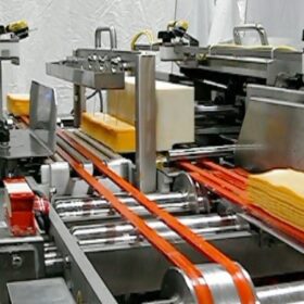 Ribbon Loaf AutoHarp Infeed