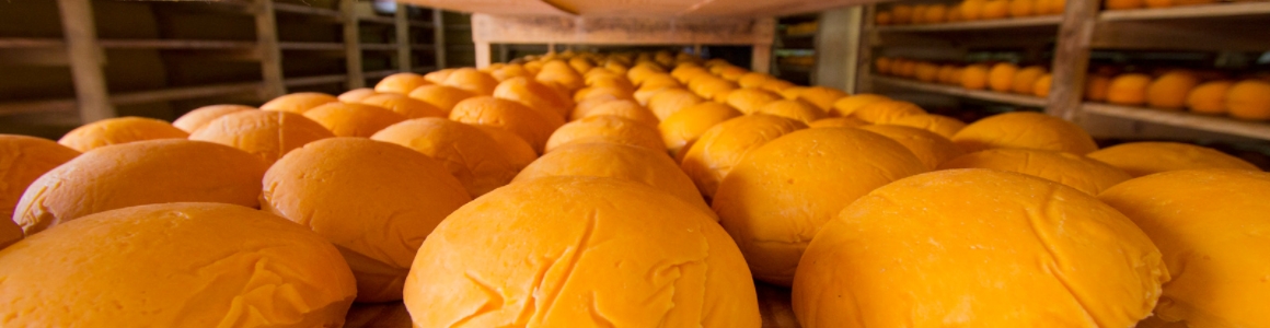 The Bulk Cheese Warehouse