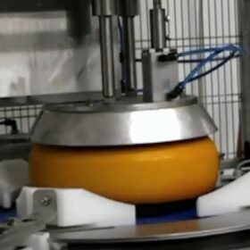 Rotary Portion Cutter