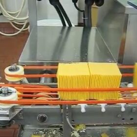 Single Chunk Cutting - Ultrasonic Cutter