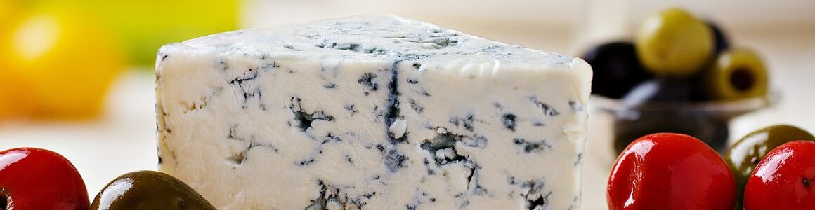 Blue cheese on a plate. Hart Design and Manufacturing Cabrales Blue Cheese World Record.