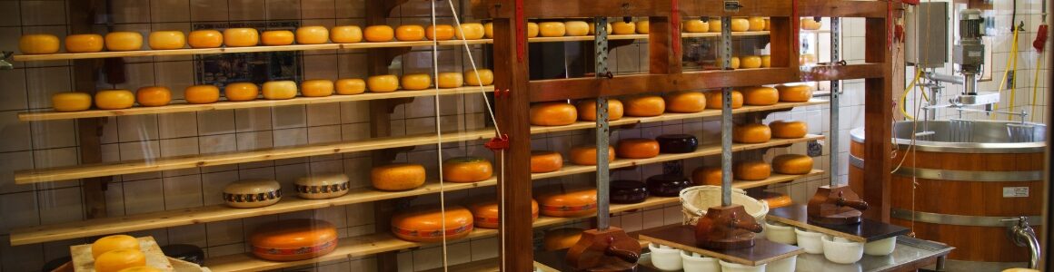 Wheels of cheddar cheese on a shelf.