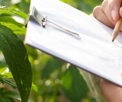 Agriculturist filling out a market trends outlook report in a field.