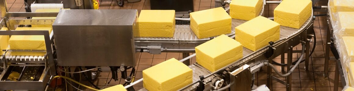 Cheddar cheese blocks on a conveyor belt in a food manufacturing facility.