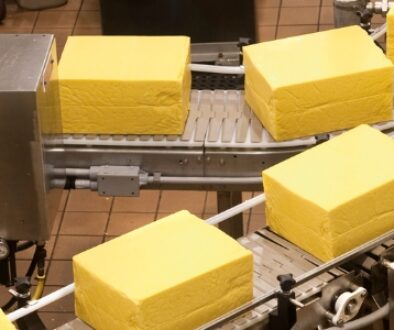 Cheddar cheese blocks on a conveyor belt in a food manufacturing facility.