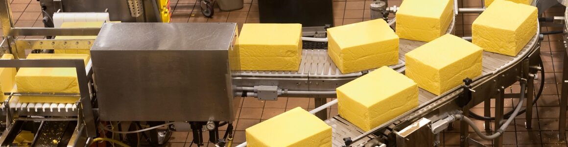 Cheese on a conveyor belt in a manufacturing facility.