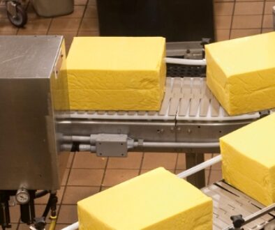 Cheese on a conveyor belt in a manufacturing facility.