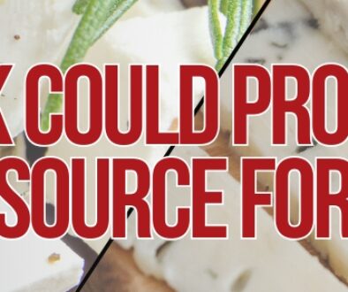 A header image showing close-up slices of mixed-milk cheeses with herbs, featuring the text “Mixed Milk Could Provide a New Flavor Source for Cheese.”
