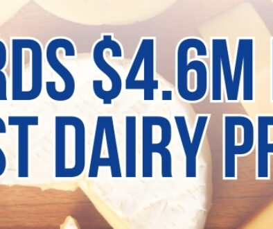 A banner image showing assorted cheeses in the background with text reading “DBIA awards $4.6M in grants to Midwest dairy processors.”