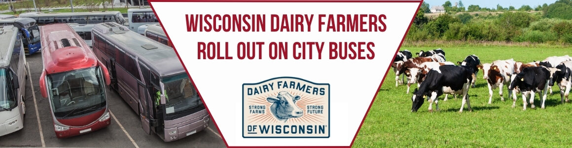 Banner showing city buses on one side and dairy cows grazing in a pasture on the other, with text about Wisconsin dairy farmers appearing on city buses