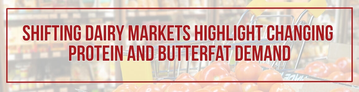 Shifting Dairy Markets Highlight Changing Protein and Butterfat Demand” over a blurred grocery store dairy aisle background.