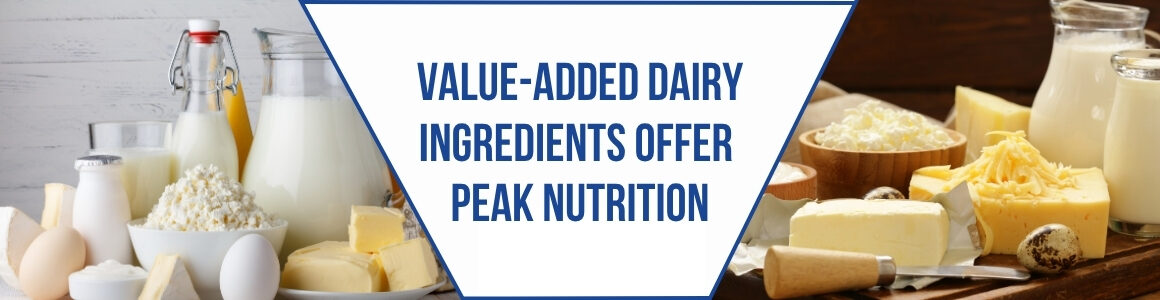 Graphic featuring assorted dairy ingredients and products, including milk, cheese, butter, eggs, and dairy powder, with the headline “Value-Added Dairy Ingredients Offer Peak Nutrition.”