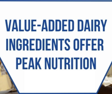 Graphic featuring assorted dairy ingredients and products, including milk, cheese, butter, eggs, and dairy powder, with the headline “Value-Added Dairy Ingredients Offer Peak Nutrition.”