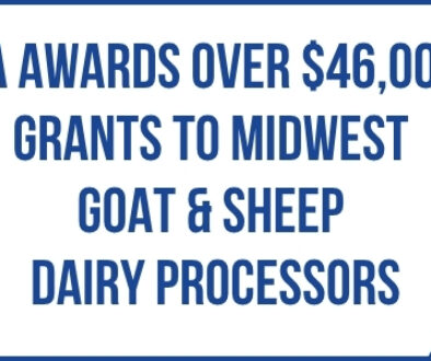 Sheep and goats grazing in a pasture with text announcing DBIA awards of more than $46,000 in grants to Midwest goat and sheep dairy processors.