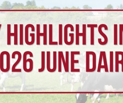 Cows grazing in a pasture with the headline “Industry Highlights Influence During 2026 June Dairy Month,” highlighting nationwide dairy industry initiatives, community engagement, and consumer outreach efforts.