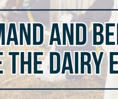 A graphic featuring dairy cattle in a barn with the headline “Protein Demand and Beef-On-Dairy Reshape the Dairy Economy."