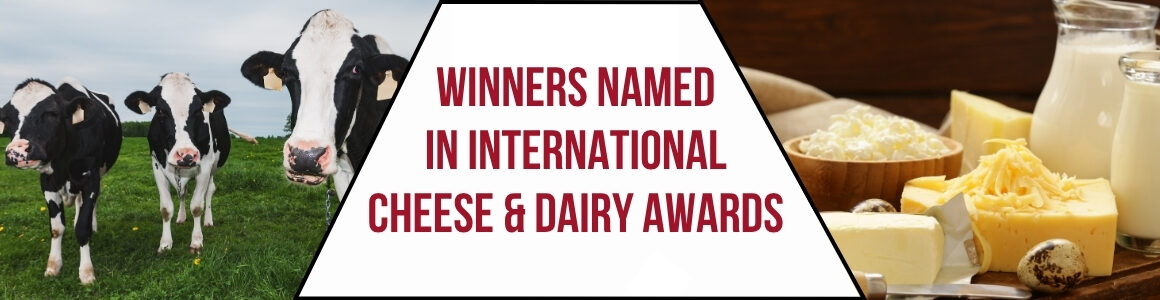 Banner graphic featuring three dairy cows in a pasture on the left, assorted cheese, butter, and milk products on the right, and the headline "Winners Named in International Cheese & Dairy Awards" centered between the images.
