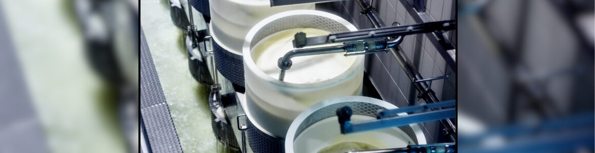 Dairy products being processed in stainless steel equipment at a commercial dairy production facility.