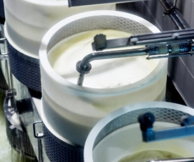 Dairy products being processed in stainless steel equipment at a commercial dairy production facility.