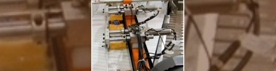 HART food processing equipment handling packaged cheese products on a conveyor.